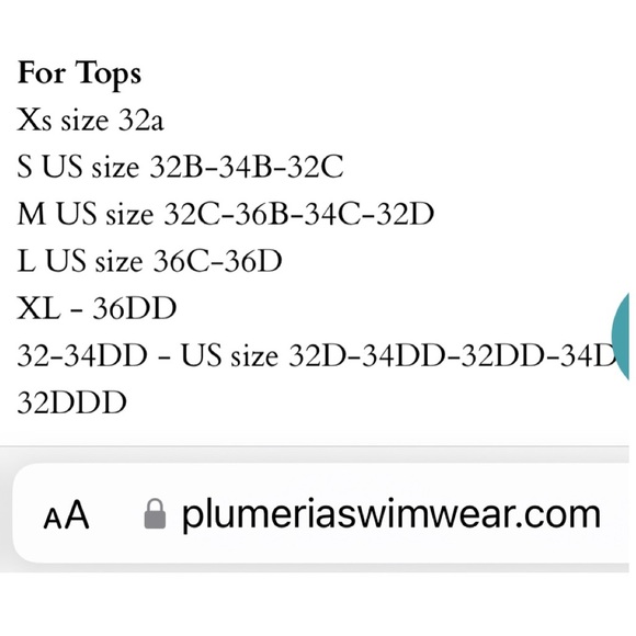 Plumeria Swimwear 'Trouble in Paradise' Strappy T-Back Bikini **TOP Size Large - Picture 9 of 15